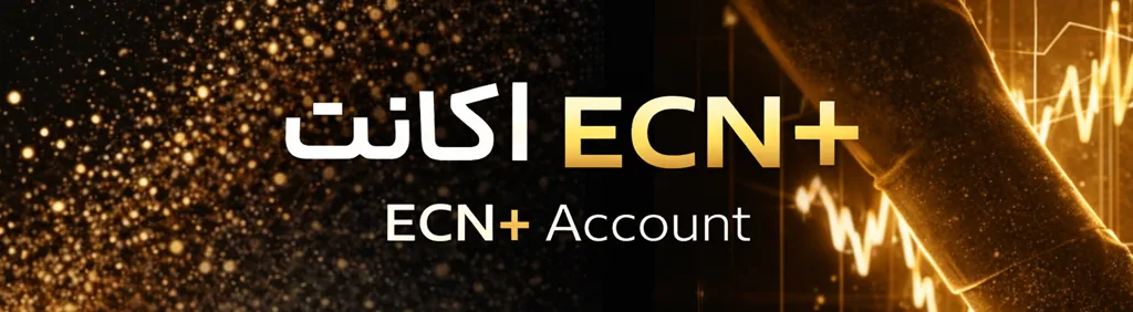 +ECN